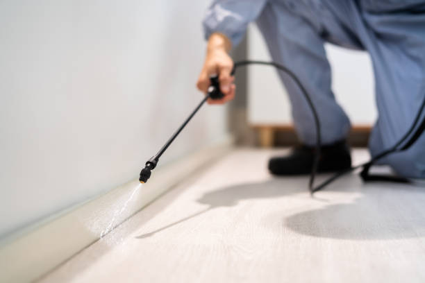 Licensed Mosquito Control service in Stockton, IL - Show Me Pest Control