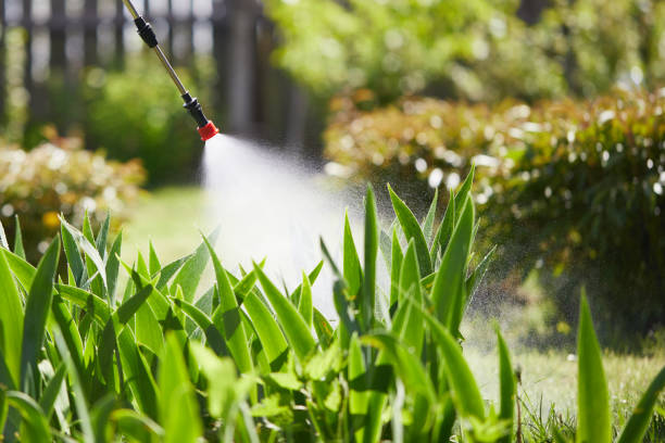 24/7 Emergency Mosquito Control experts in Stockton, IL