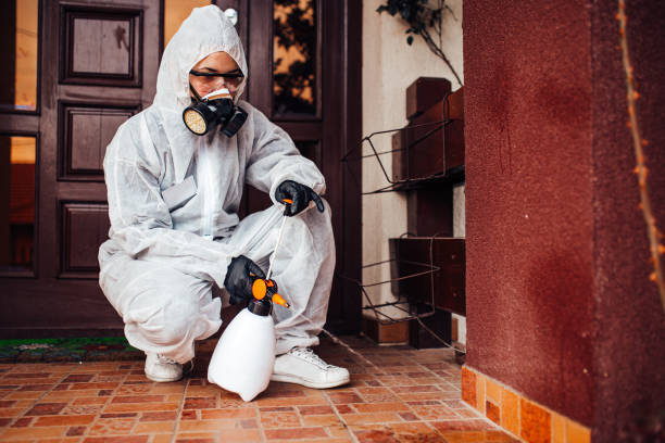 Reliable Mosquito Control contractor in Stockton, IL by Show Me Pest Control